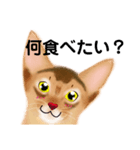 アビにゃん 日常①（個別スタンプ：14）