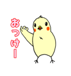 ピー助の日常使える丁寧語スタンプ（個別スタンプ：34）