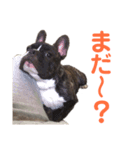 もぎるとほんごうのスタンプ（個別スタンプ：1）