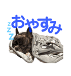 もぎるとほんごうのスタンプ（個別スタンプ：2）