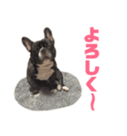 もぎるとほんごうのスタンプ（個別スタンプ：4）