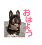 もぎるとほんごうのスタンプ（個別スタンプ：8）