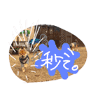 ビーグルきゃりーの日常（個別スタンプ：31）