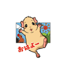 モルモットのモル本さん（個別スタンプ：1）