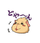 モルモットのモル本さん（個別スタンプ：19）