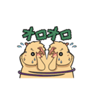 モルモットのモル本さん（個別スタンプ：36）