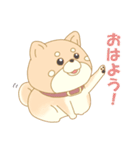 犬だよー（個別スタンプ：1）