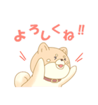 犬だよー（個別スタンプ：5）