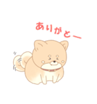 犬だよー（個別スタンプ：10）