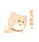 犬だよー（個別スタンプ：30）