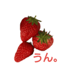 お花見とか（個別スタンプ：2）