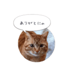 歳三といっしょに（個別スタンプ：2）