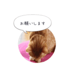 歳三といっしょに（個別スタンプ：4）