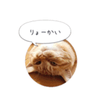 歳三といっしょに（個別スタンプ：7）
