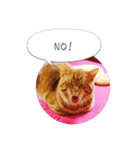 歳三といっしょに（個別スタンプ：8）