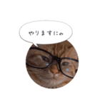 歳三といっしょに（個別スタンプ：11）