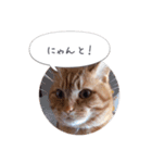 歳三といっしょに（個別スタンプ：12）