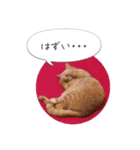歳三といっしょに（個別スタンプ：14）