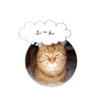 歳三といっしょに（個別スタンプ：15）