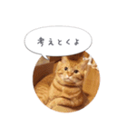 歳三といっしょに（個別スタンプ：16）