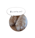 歳三といっしょに（個別スタンプ：17）