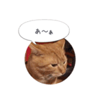 歳三といっしょに（個別スタンプ：18）