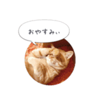 歳三といっしょに（個別スタンプ：19）