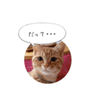 歳三といっしょに（個別スタンプ：23）
