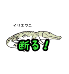 ワニ図鑑スタンプ（個別スタンプ：2）