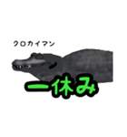 ワニ図鑑スタンプ（個別スタンプ：13）