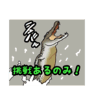 ワニ図鑑スタンプ（個別スタンプ：22）