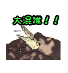 ワニ図鑑スタンプ（個別スタンプ：24）