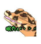 ワニ図鑑スタンプ（個別スタンプ：28）