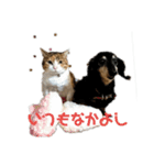 リアル三毛猫ちびの言葉（個別スタンプ：14）