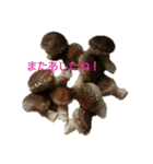 愛しすぎるしいたけ栽培（個別スタンプ：8）