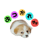 ♡RAM♡2nd（個別スタンプ：13）