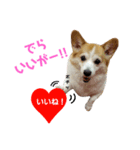♡RAM♡2nd（個別スタンプ：16）