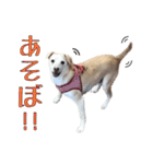 秀喜スタンプ2（個別スタンプ：4）