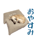 秀喜スタンプ2（個別スタンプ：8）