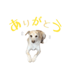 秀喜スタンプ2（個別スタンプ：9）