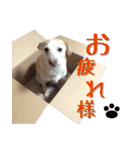 秀喜スタンプ2（個別スタンプ：10）