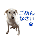 秀喜スタンプ2（個別スタンプ：19）