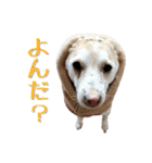 秀喜スタンプ2（個別スタンプ：21）