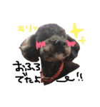 愛犬リンといちのゆるゆるスタンプ（個別スタンプ：16）