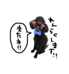 愛犬リンといちのゆるゆるスタンプ（個別スタンプ：21）