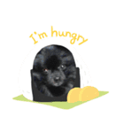 LOTTI  スタンプ  ※Thanks  Forever（個別スタンプ：5）