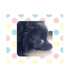 LOTTI  スタンプ  ※Thanks  Forever（個別スタンプ：7）