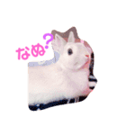 こっちゃんとむったん（個別スタンプ：1）