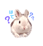 こっちゃんとむったん（個別スタンプ：2）