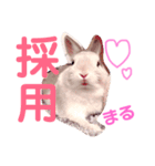 こっちゃんとむったん（個別スタンプ：3）